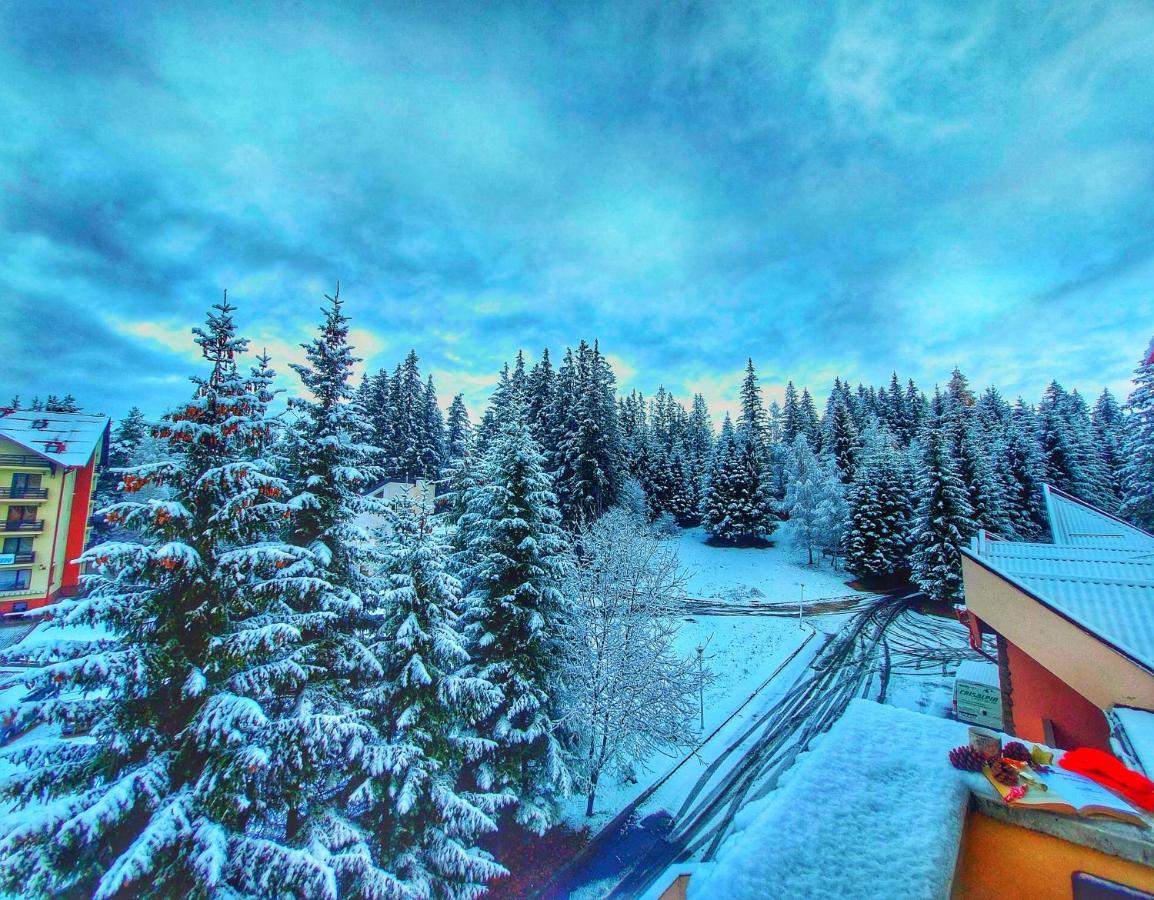 Vila Simonte Poiana Brasov Hotel ภายนอก รูปภาพ